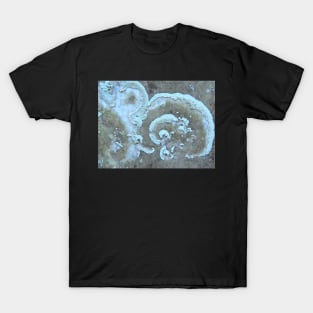 Lychen Curls T-Shirt